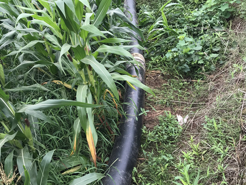 Mengangkut air minuman